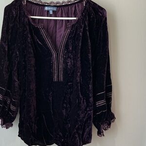 Democracy Rich Purple Velvet Blouse